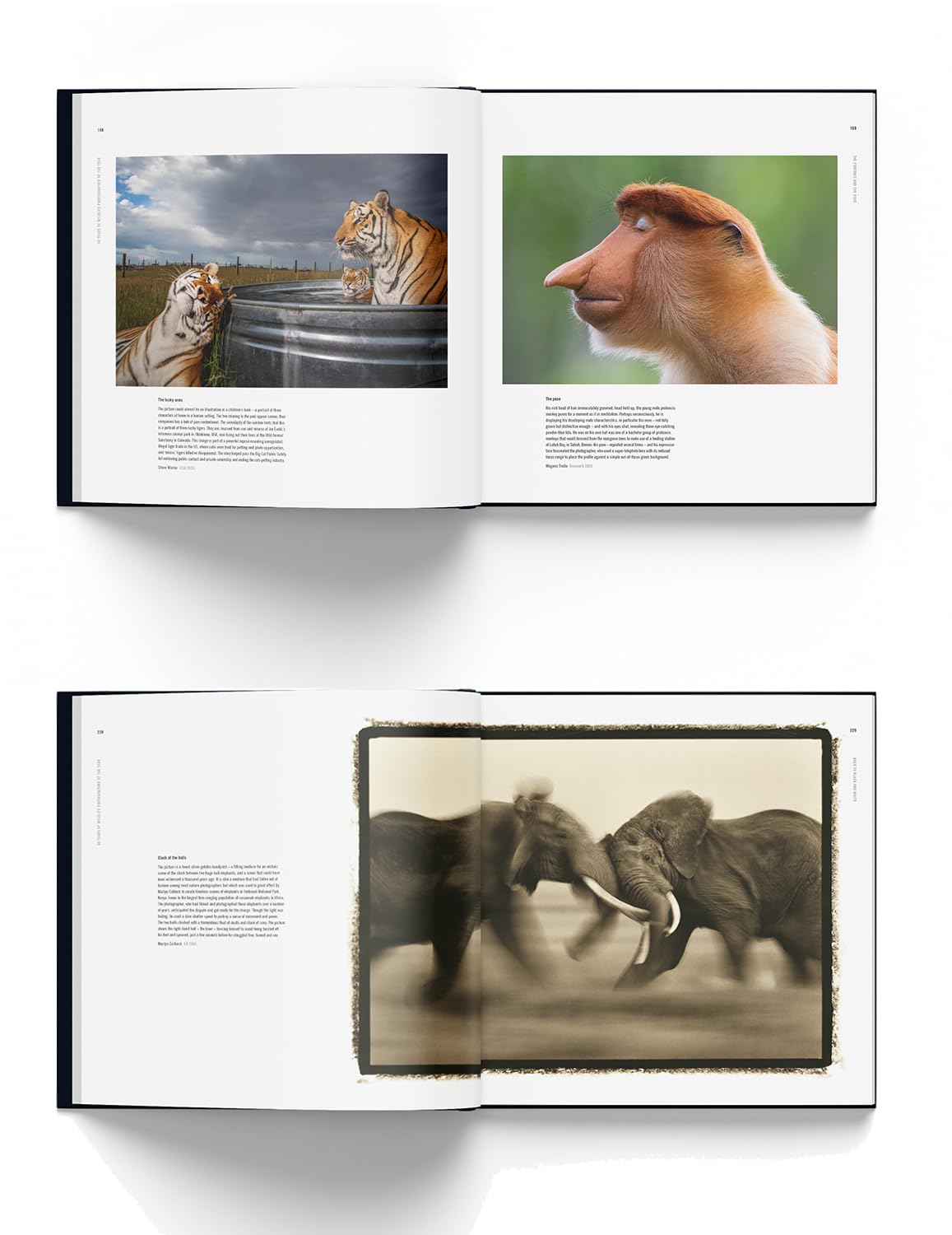 Amazon.com: Natural History Museum: books, biography, latest update